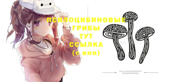 таблы Арсеньев