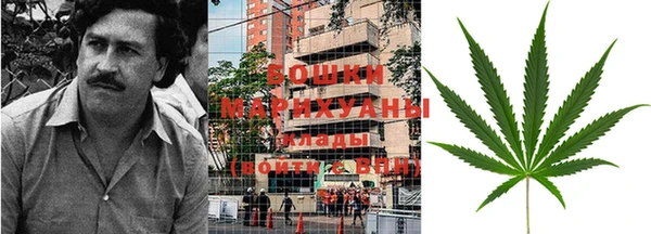 ПСИЛОЦИБИНОВЫЕ ГРИБЫ Балабаново