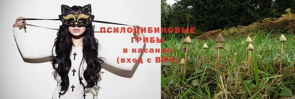 ПСИЛОЦИБИНОВЫЕ ГРИБЫ Балабаново